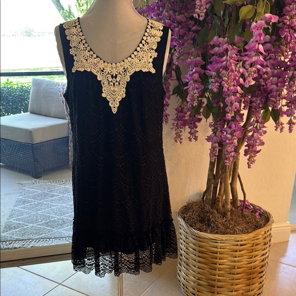 Supe cute Black Lace Dress with white lace Embroidery